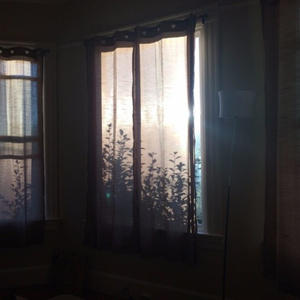 捷克街头钞能力在线视频
